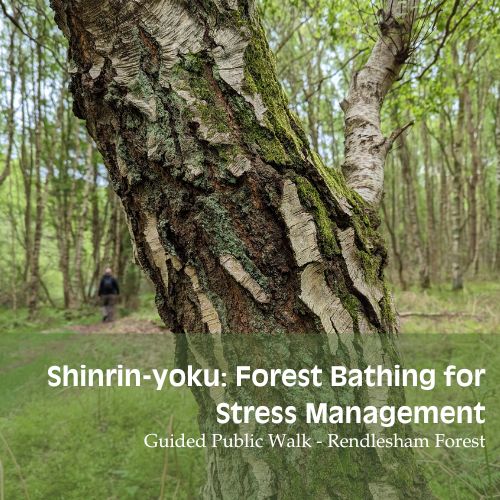 Forest Bathing for Stress Management - Rendlesham Forest