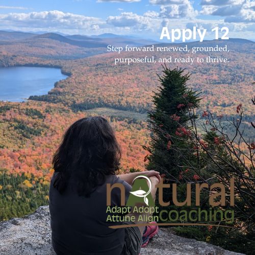 Apply 12 Coaching Programme