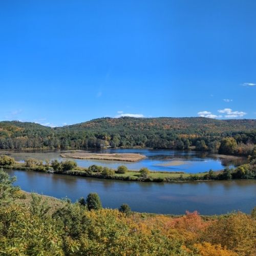 Ecosystems thrive because of boundaries. Boundaries aren’t walls, they are wisdom. They’re how life knows when to pause, when to protect, and when to begin again.