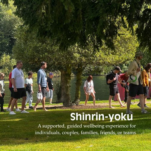 Shinrin-Yoku: Forest Bathing for Health and Wellbeing