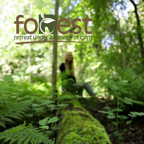 foRest Retreat