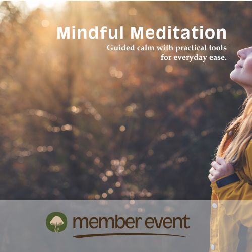 Mindful Meditation